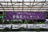 文京あじさい祭